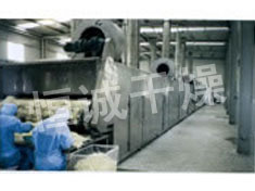 DWC Series Dryer for Vegetable Dehydration