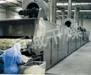 DWC Series Dryer for Vegetable Dehydration
