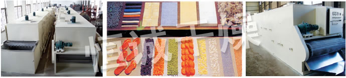 DW Single-belt Dryer