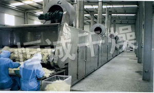 DWC Series Dryer for Vegetable Dehydration