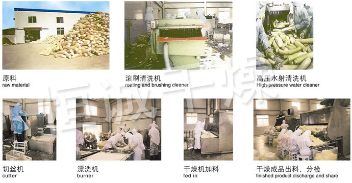 DWC Series Dryer for Vegetable Dehydration